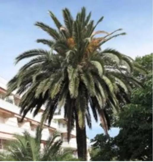 Eden Leilighet Saint-Tropez Rom bilde